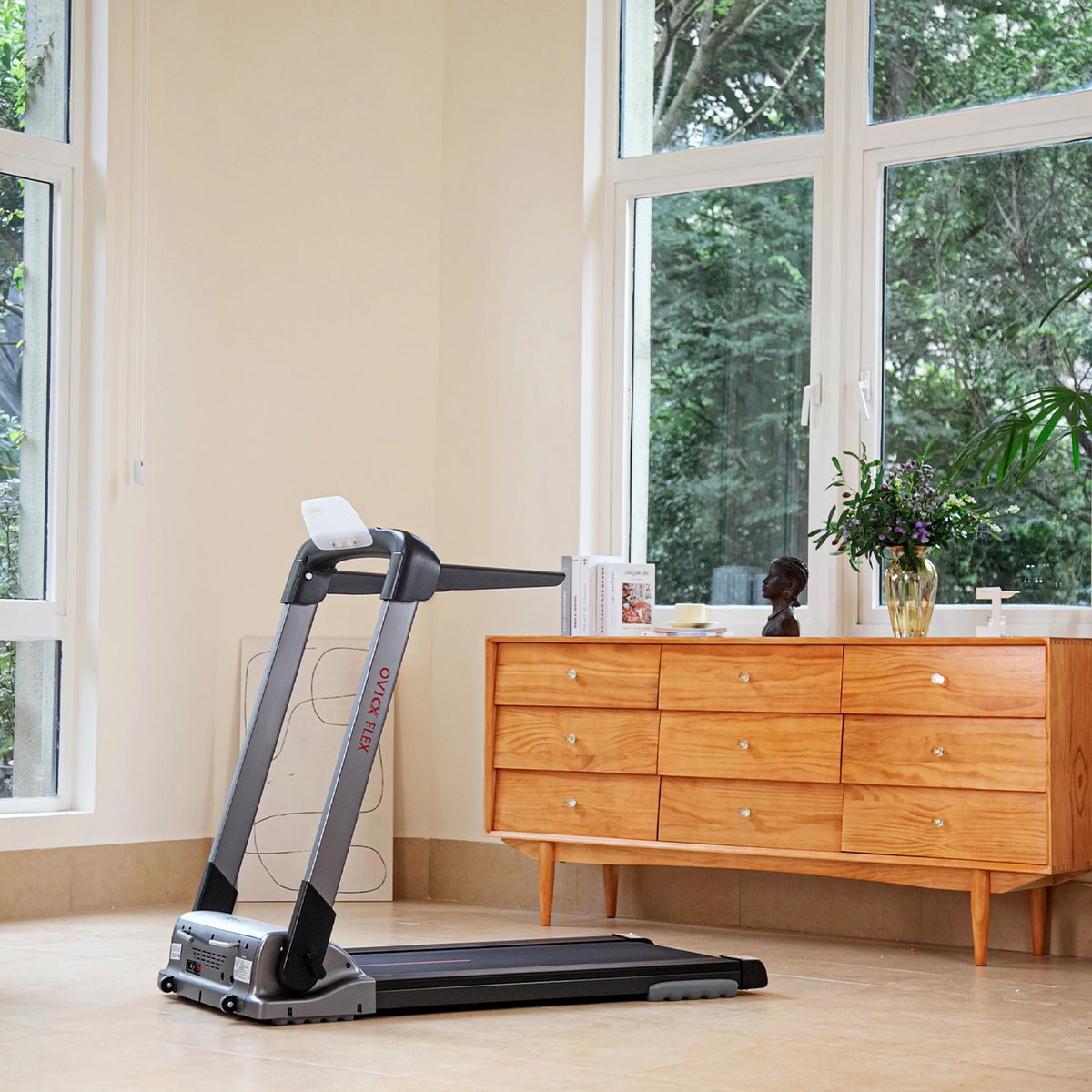 Portable Folding Treadmill R450353