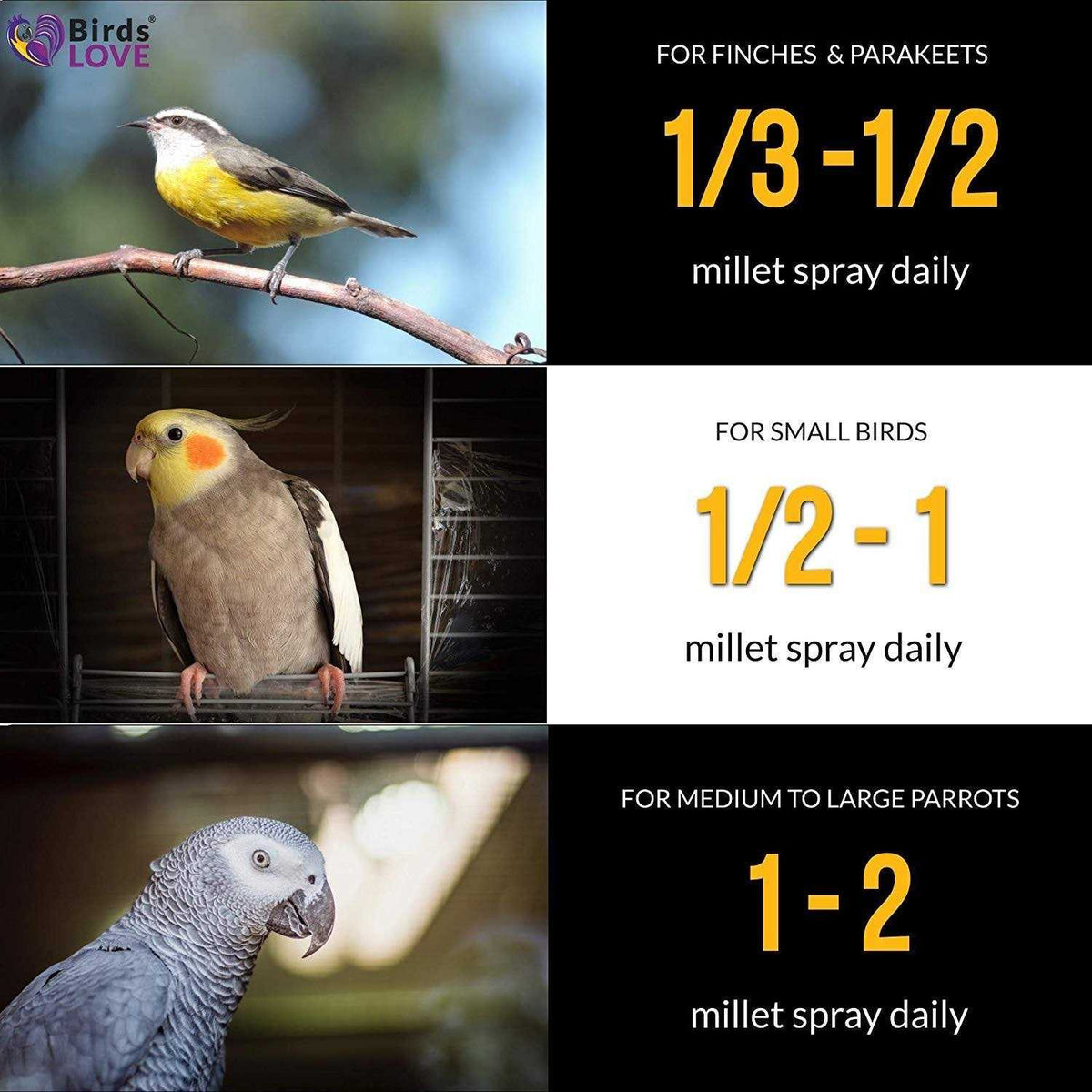 Spray Millet for Parrots Cockatiel Lovebird Parakeet Finch Canary R29005