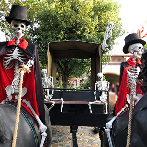 Life Size Full Body Skeletons with Movable Joints G2176