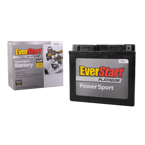12 Volt AGM Battery 230 CCA Y26861