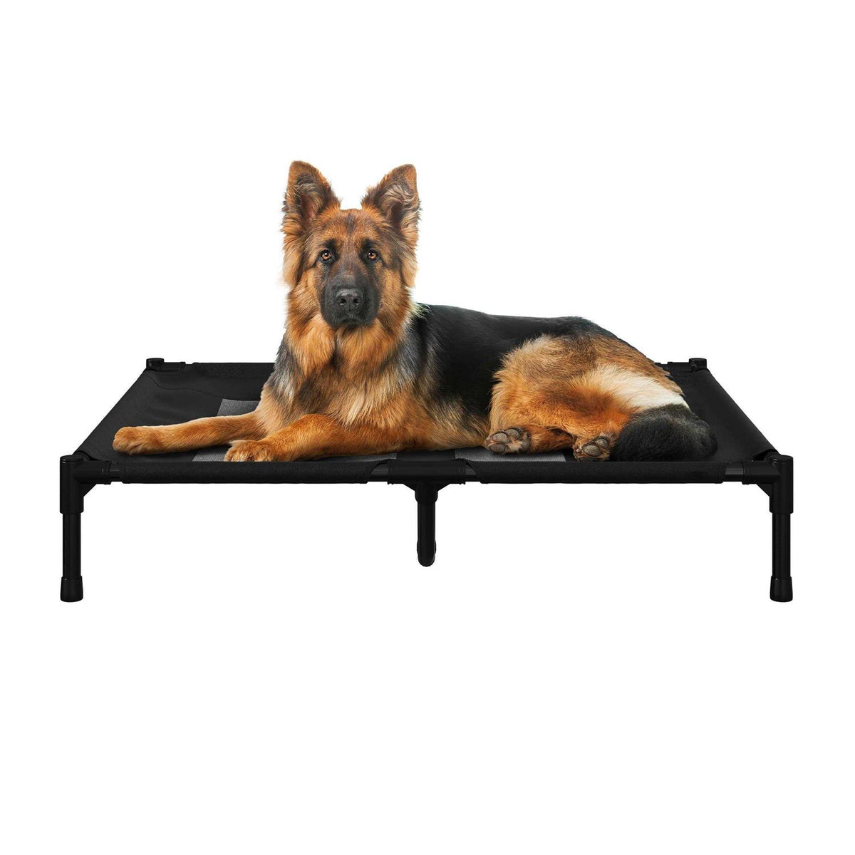 Cot-Style Elevated Pet Bed M972968