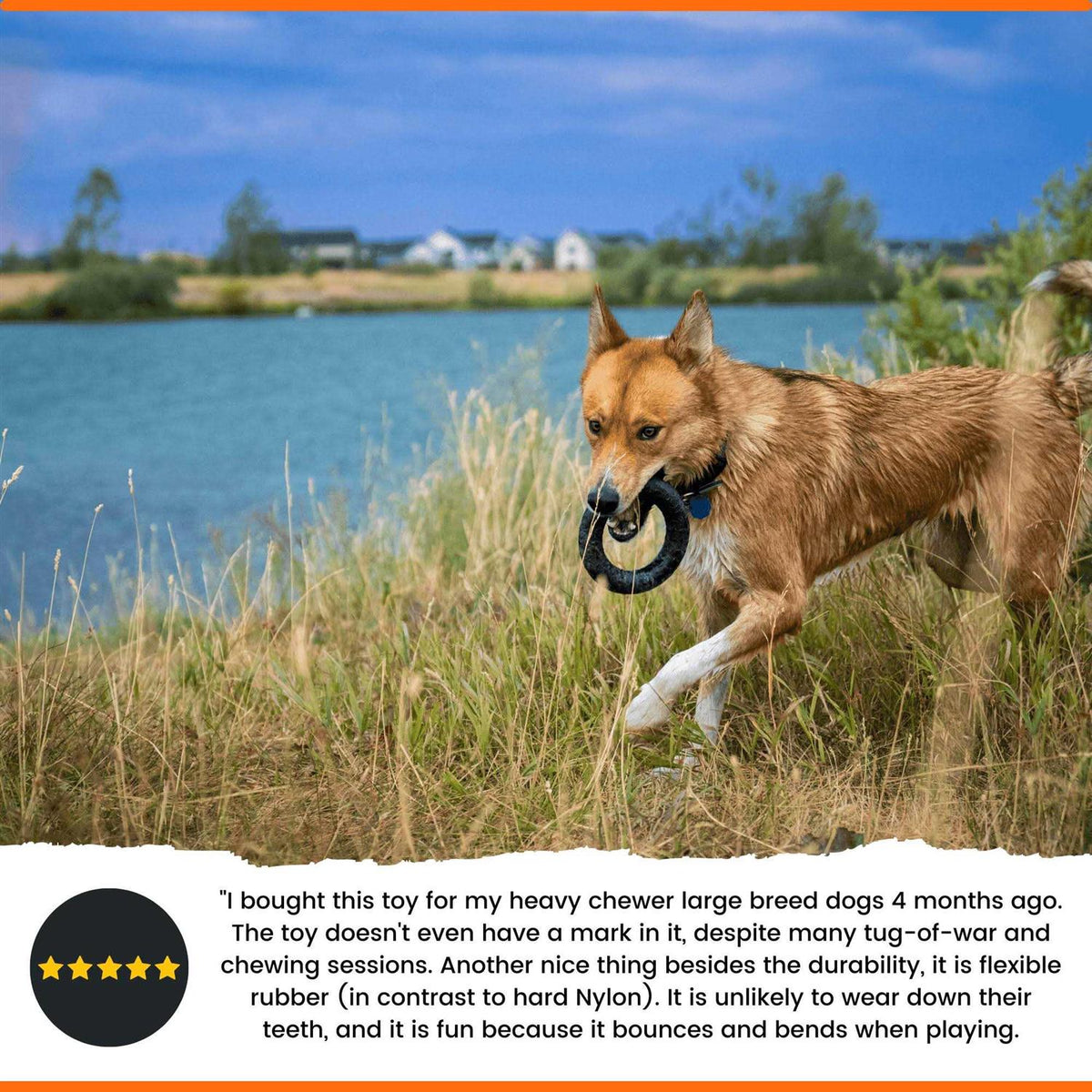 Dog Chew Toy M288
