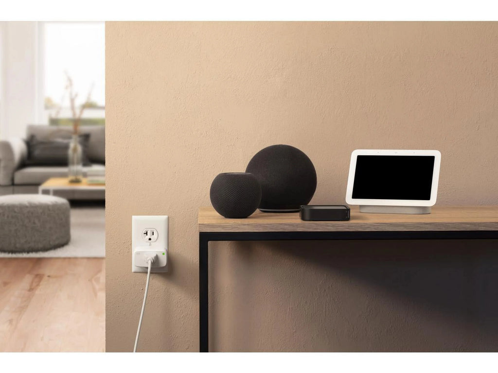 Smart Plug with App and Voice Control R559