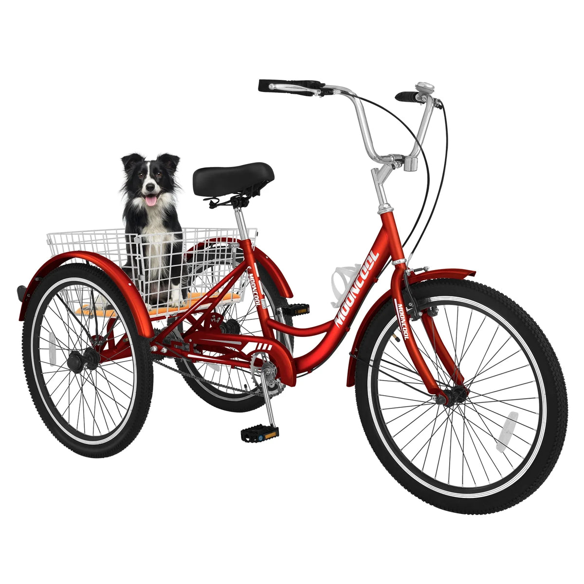 24 Single Speed Tricycle with Basket T16772