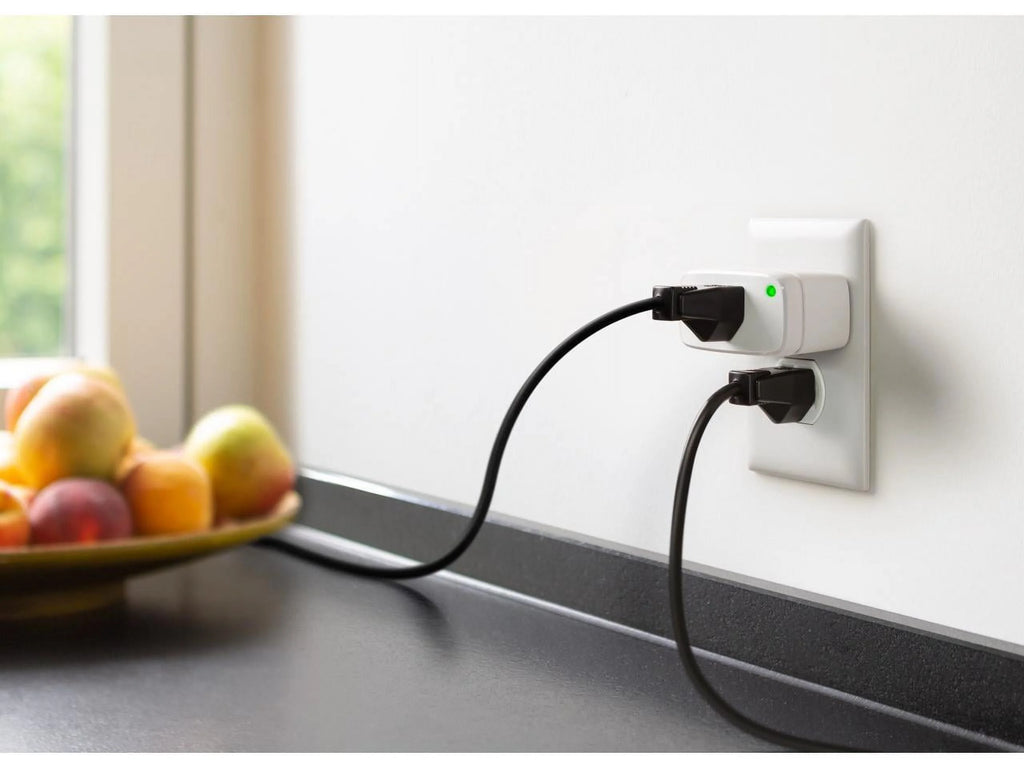 Smart Plug with App and Voice Control R559