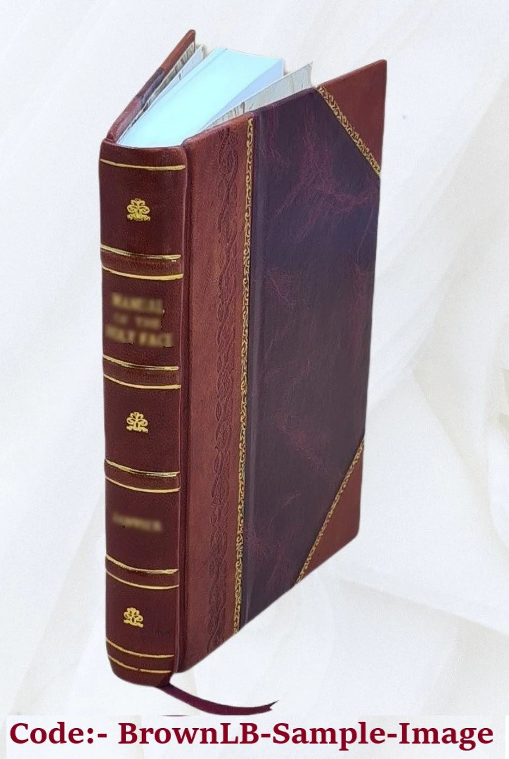 The knights tales illustrative of the marvellous Leather Bound E991691