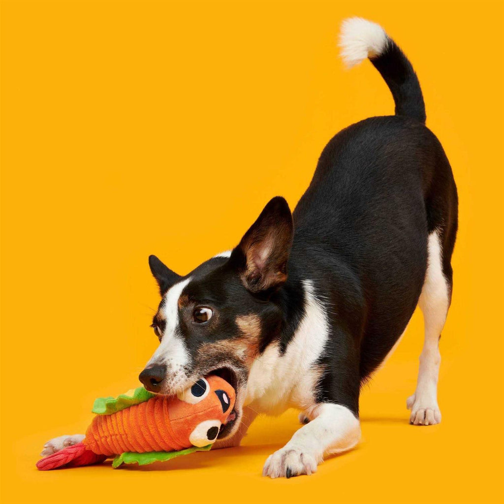 Shrimp Taco Dog Toy G6827