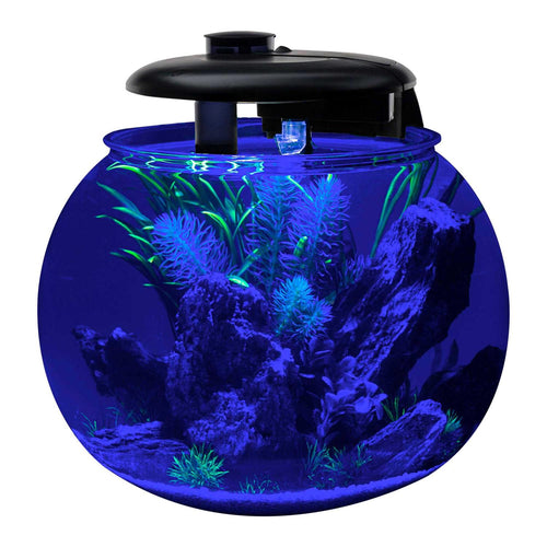 10 Gallon Bowl-Shaped Aquarium R750333