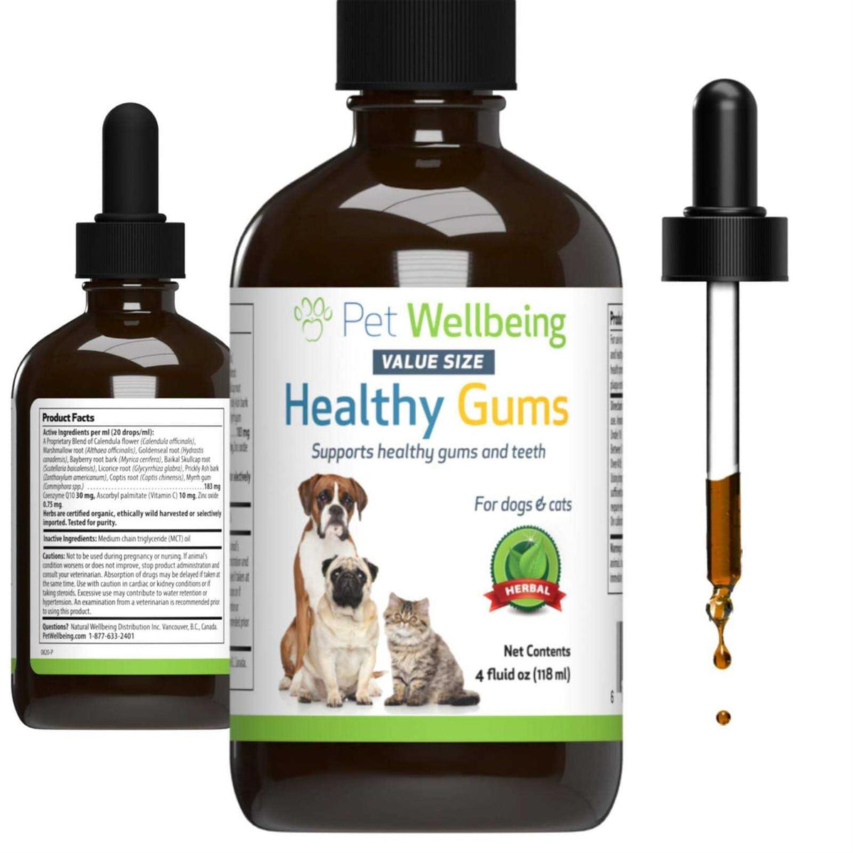 Healthy Gums for Feline Periodontal Health P82610