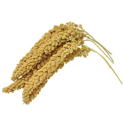 Spray Millet for Parrots Cockatiel Lovebird Parakeet Finch Canary R29005