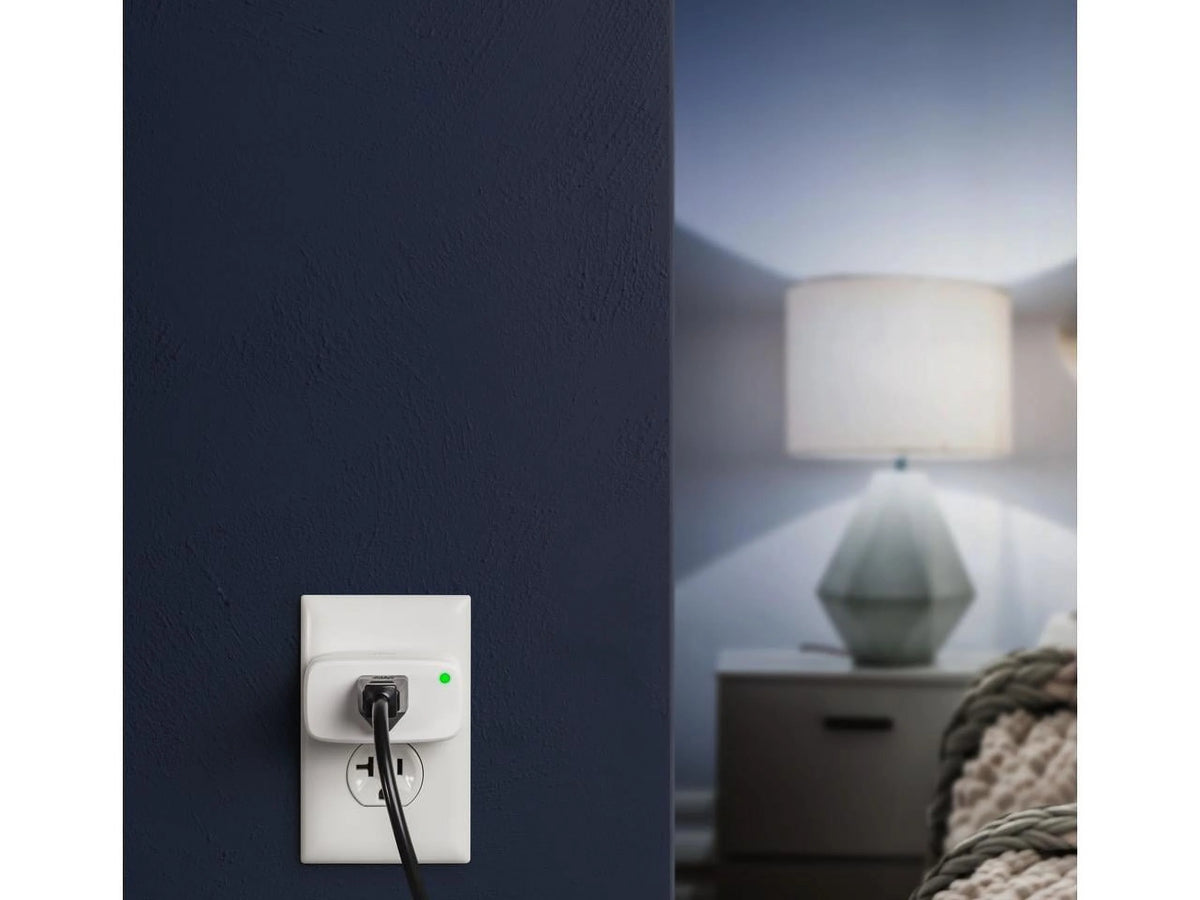 Smart Plug with App and Voice Control R559