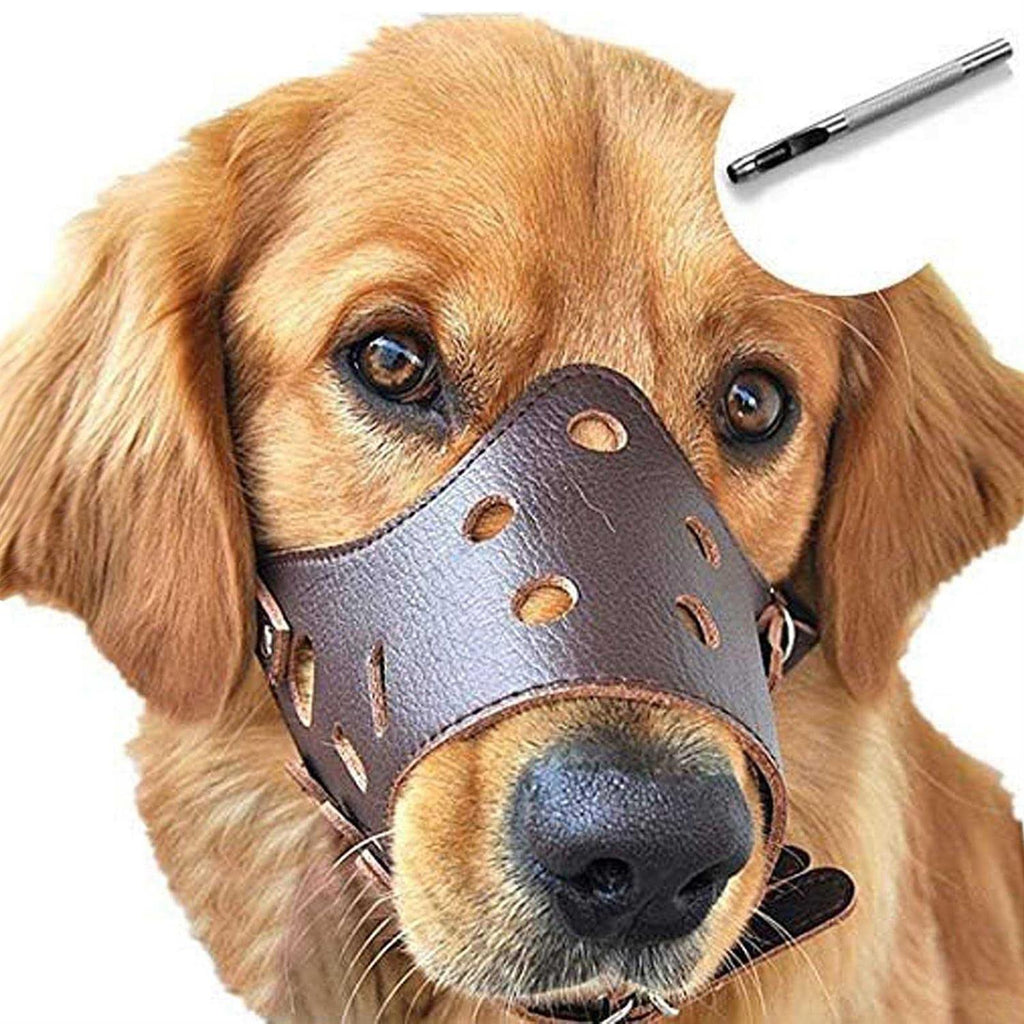 Leather Dog Muzzle M706420