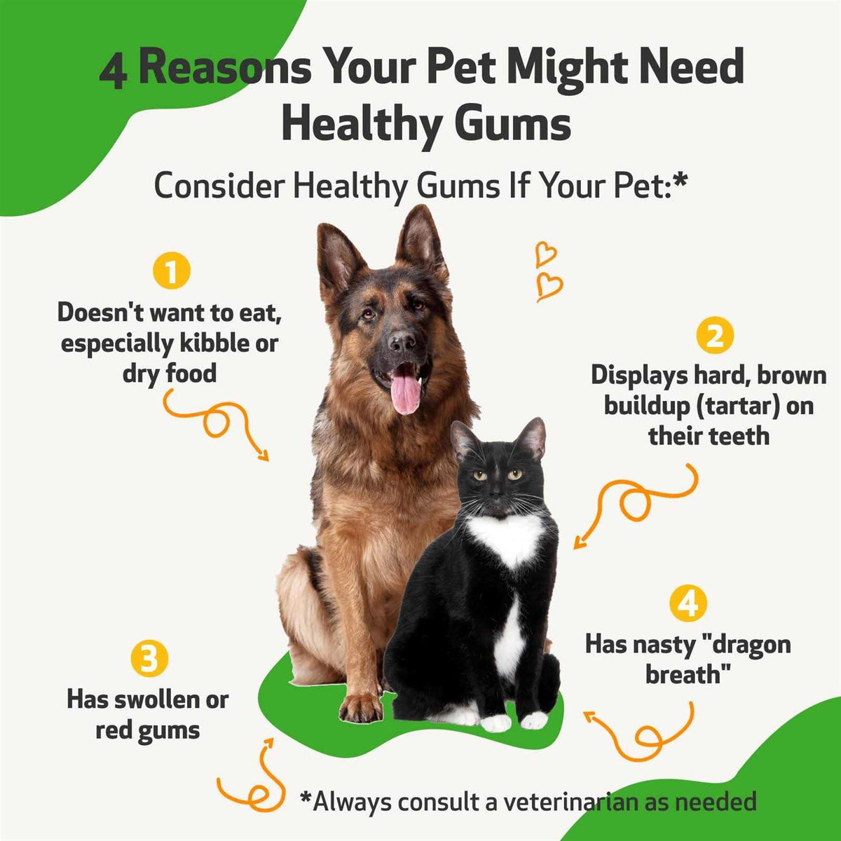 Healthy Gums for Feline Periodontal Health P82610