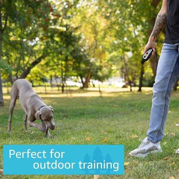 Waterproof Remote Dog Training Collar X55752
