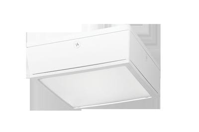 10W White LED Canopy Light V724