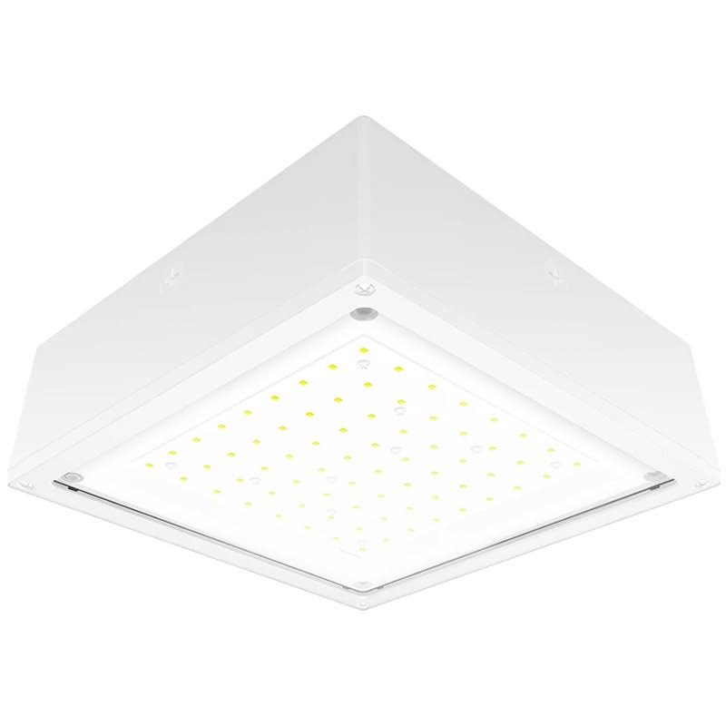10W White LED Canopy Light V724