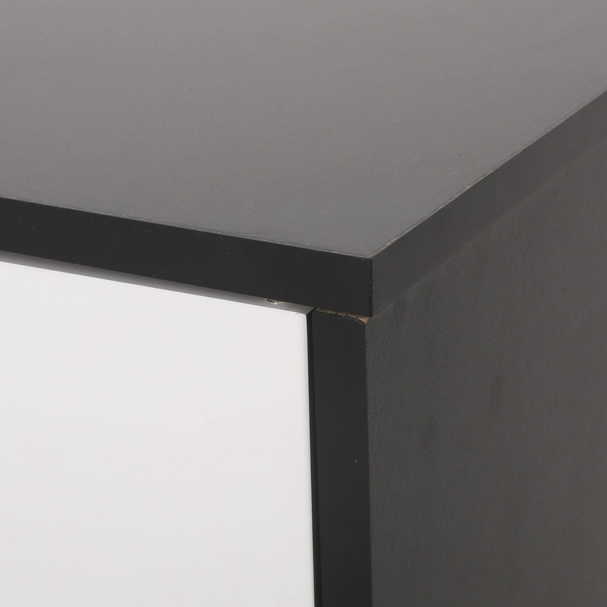 2 Door Cabinet Black/White H72692