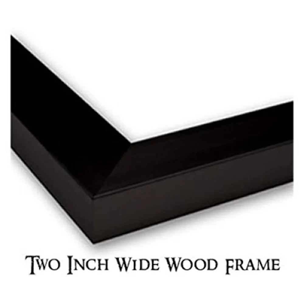 Black Modern Framed Art Print F23840