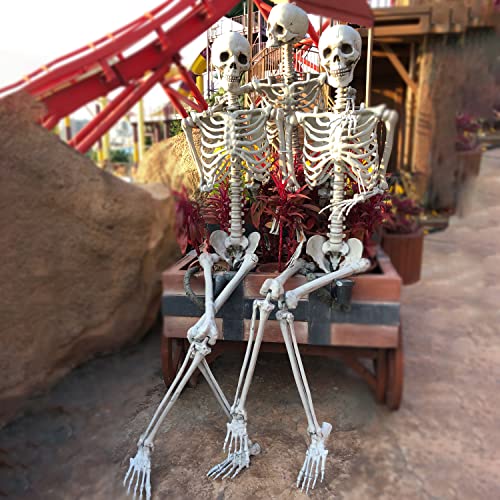 Life Size Full Body Skeletons with Movable Joints G2176