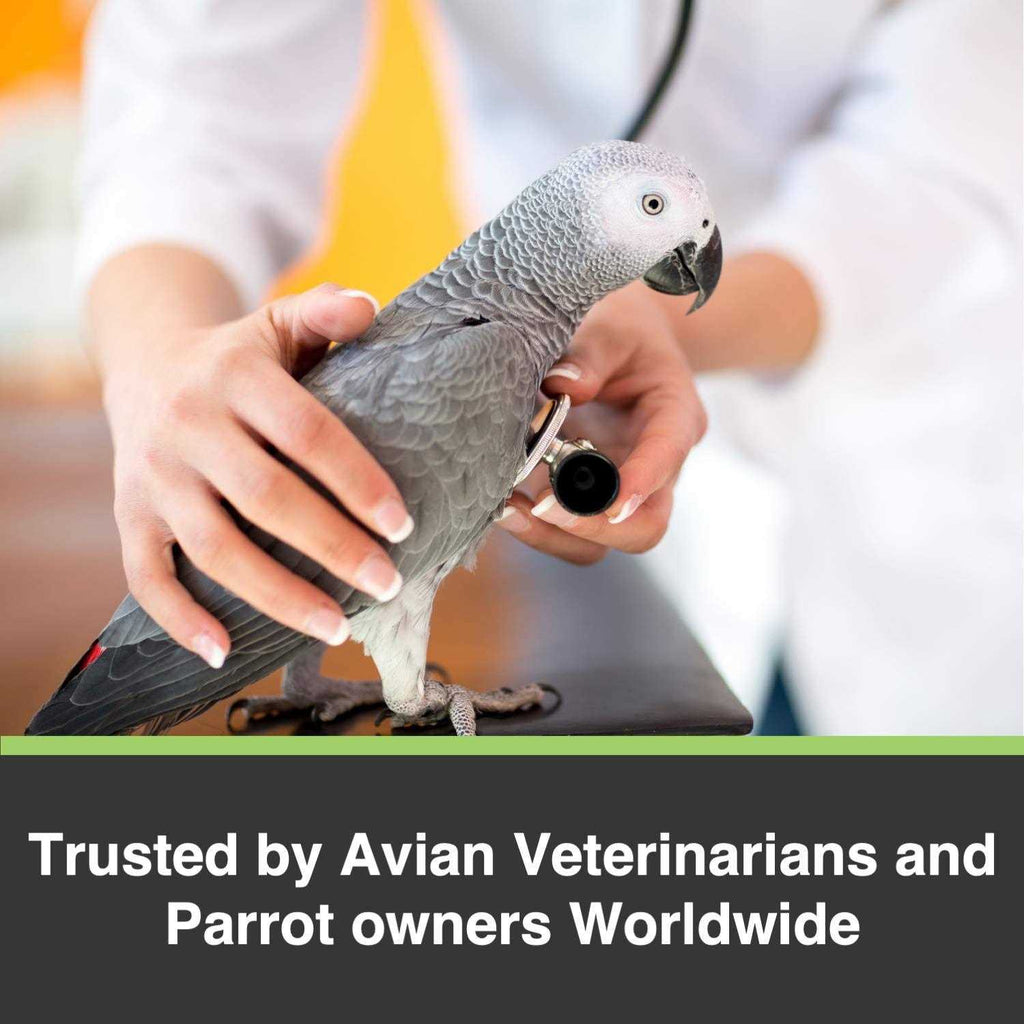 Cockatiel Lovebird Pet Supplies B72472