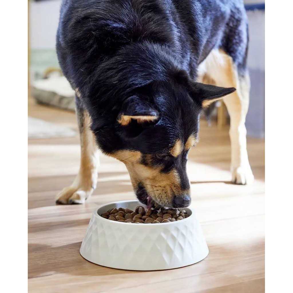 Grain Free Dry Dog Food K6211