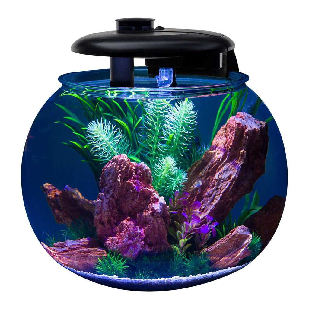 10 Gallon Bowl-Shaped Aquarium R750333