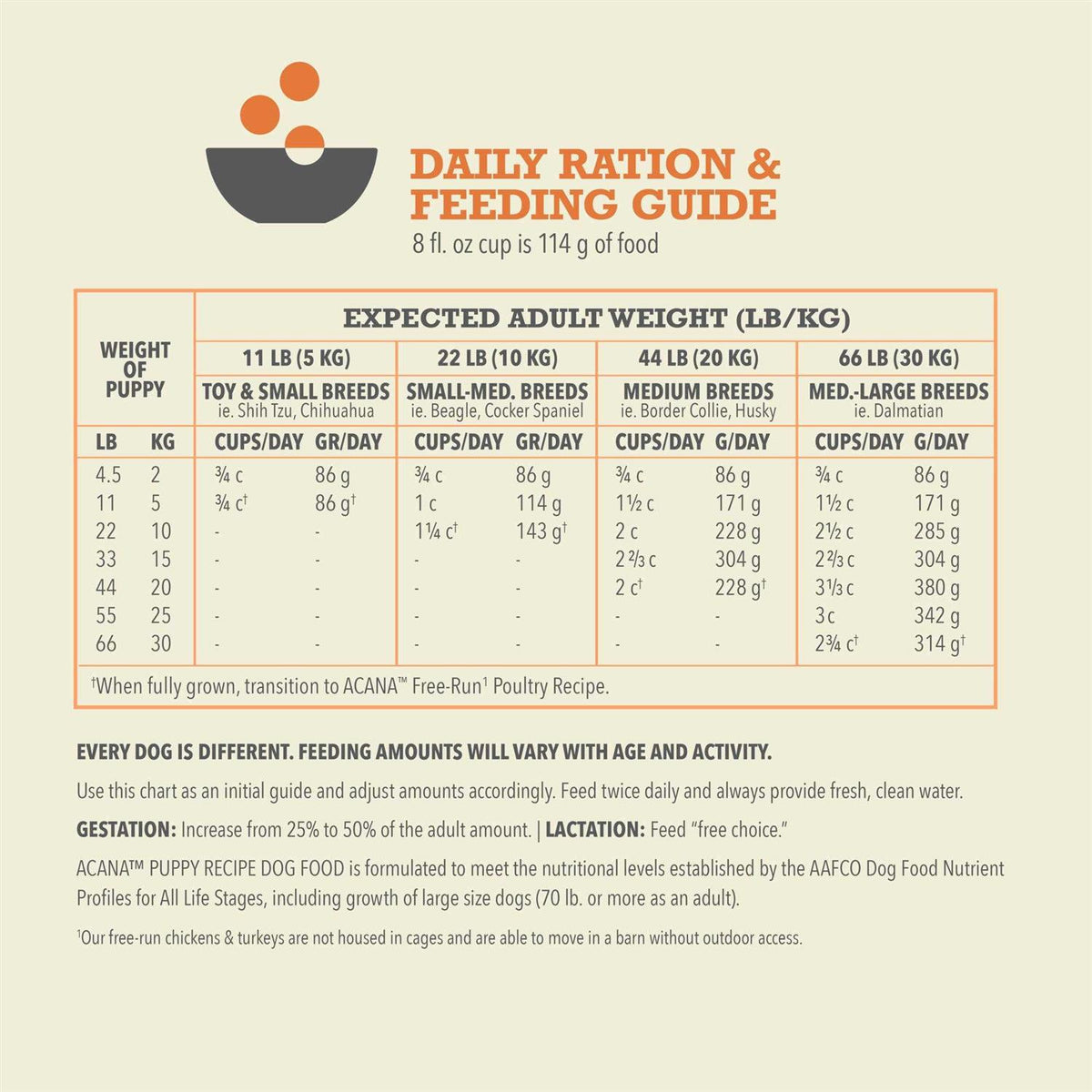 Puppy & Junior Dry Dog Food Q272737