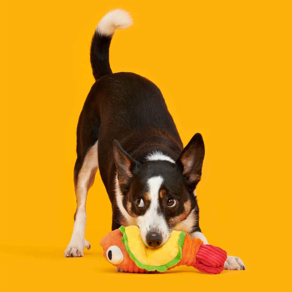 Shrimp Taco Dog Toy G6827