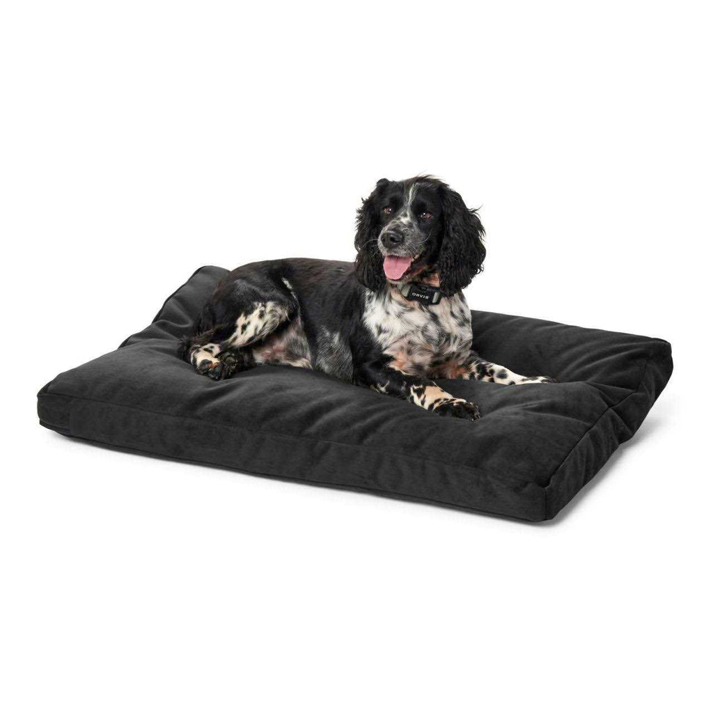 Platform Dog Bed B6297