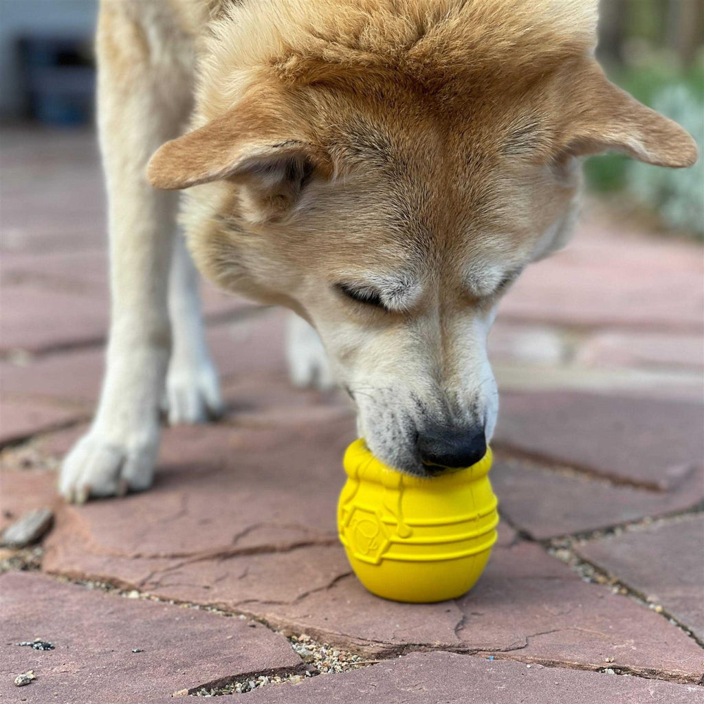 Durable Treat Dispenser & Enrichment Toy E548