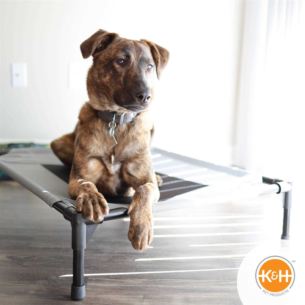 Elevated Pet Cot Y48673
